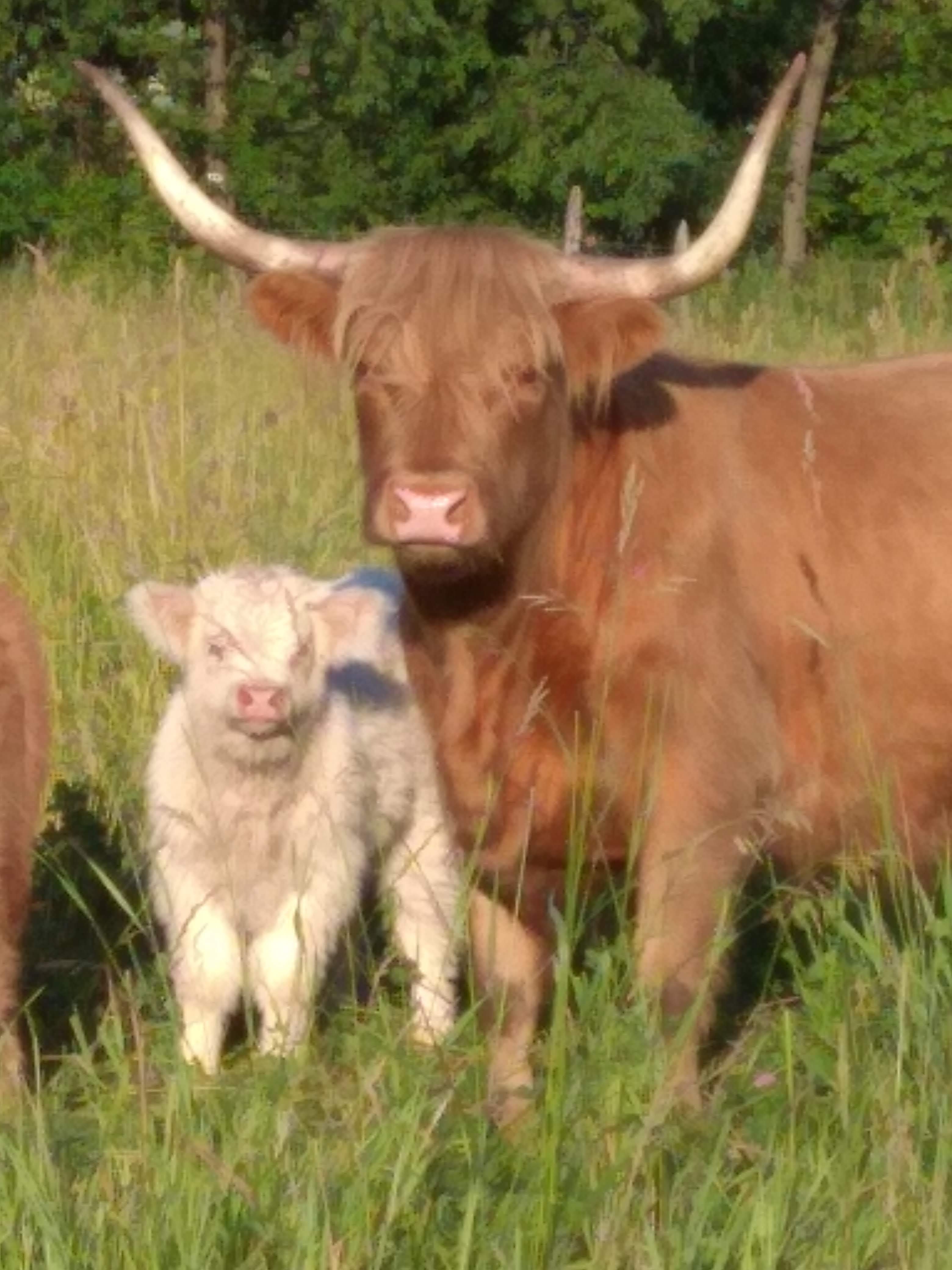 4PondsFarm